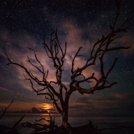 Dark Skies