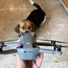 Dronemama