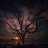 Dark Skies